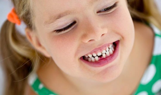 ¿Cuántos dientes tenemos?